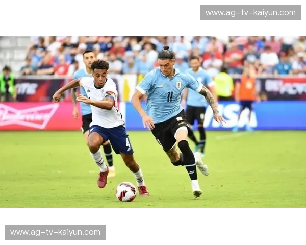 美洲杯2025直播——一场你不能错过的南美足球盛宴